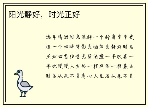 阳光静好，时光正好